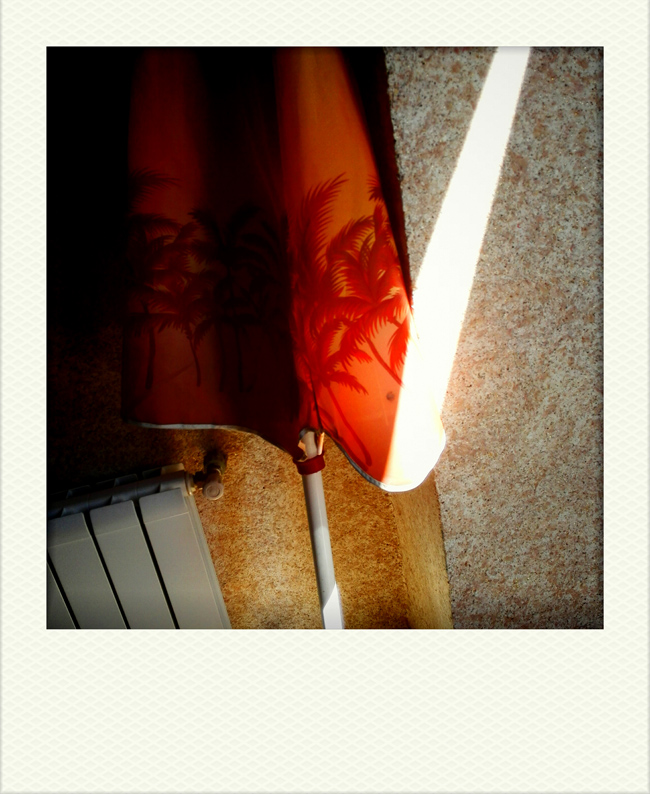 Пальмы не растут в Рейкьявике...