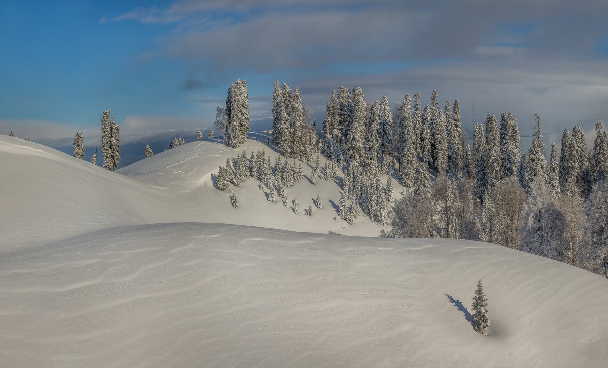 В одиночку.