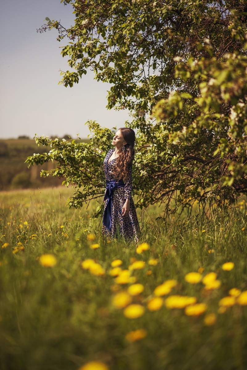 Одуванчики