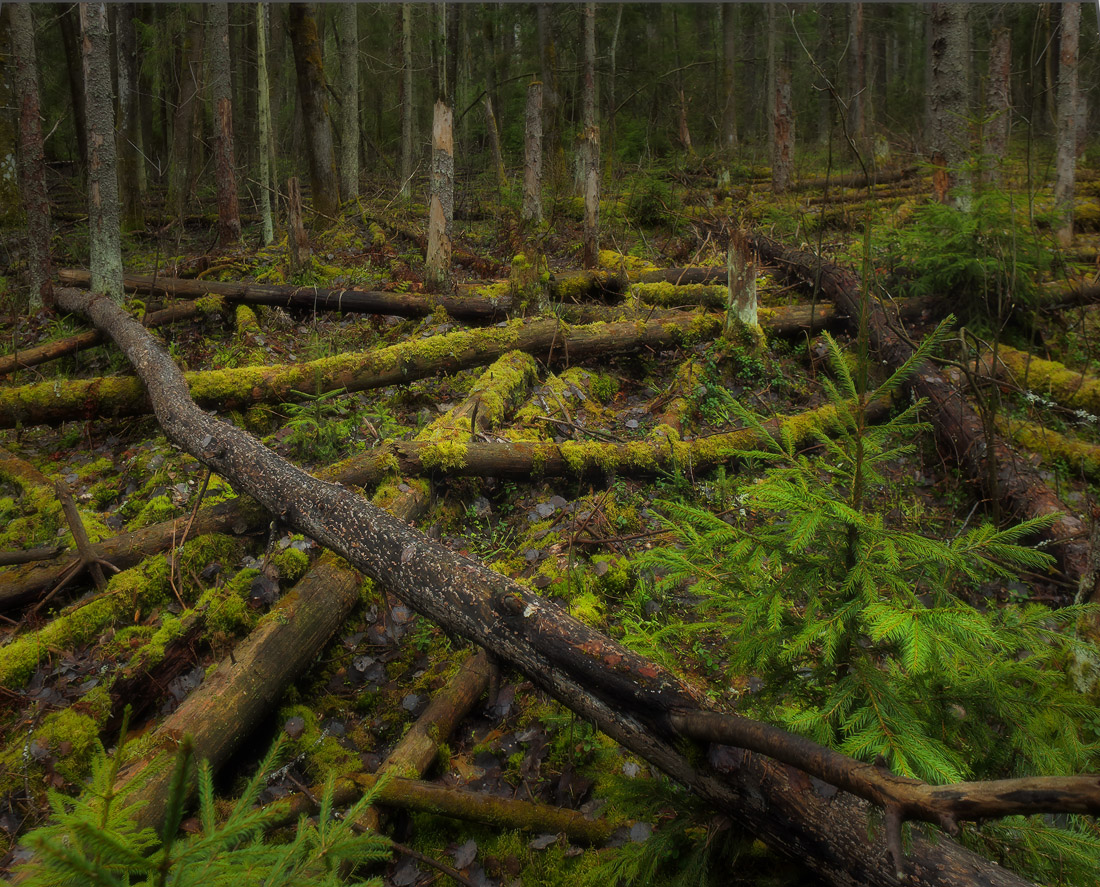 Про вертикали, диагонали, горизонтали