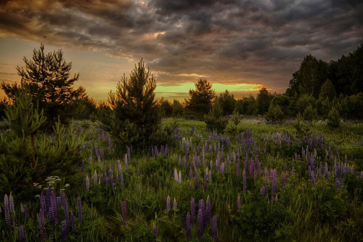 очень раннее утро..