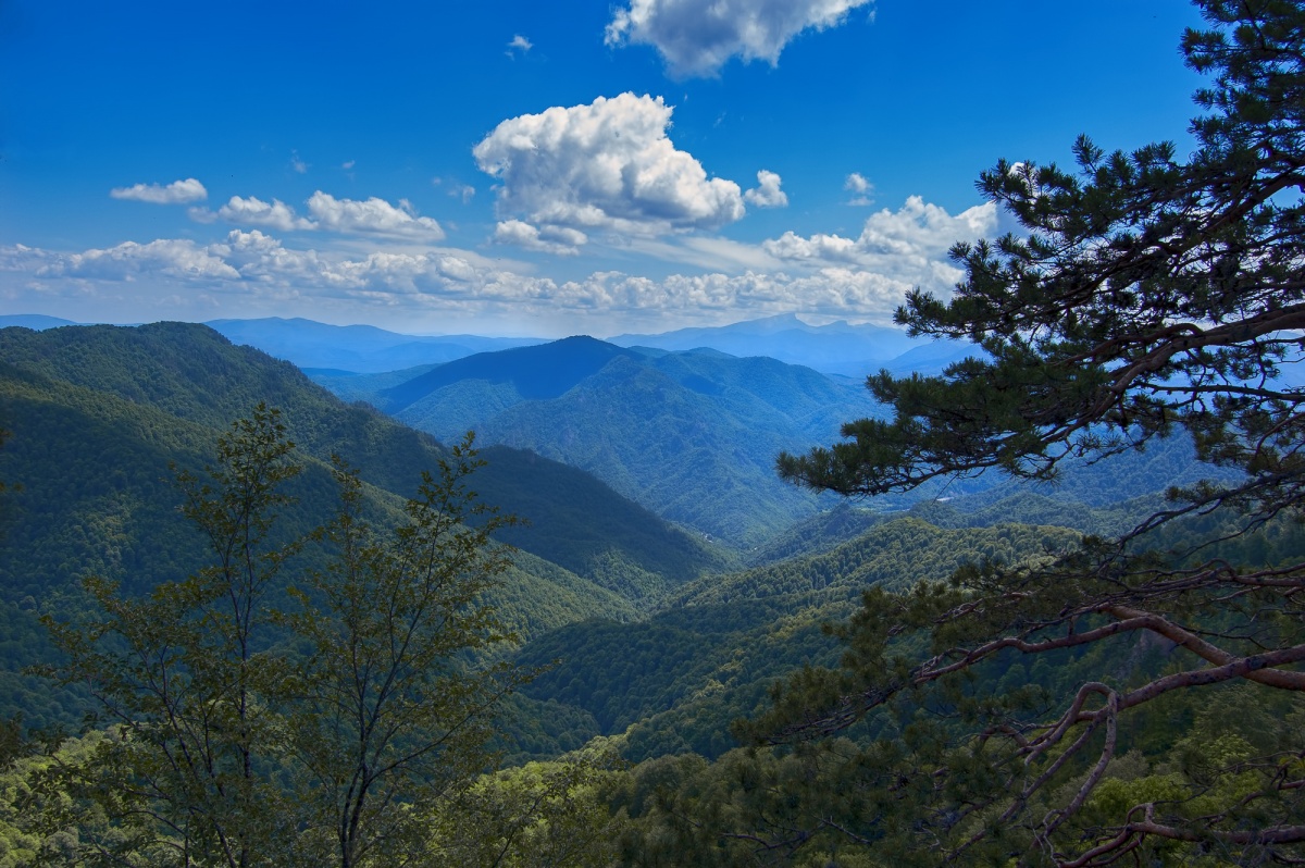 Кавказ предо мною