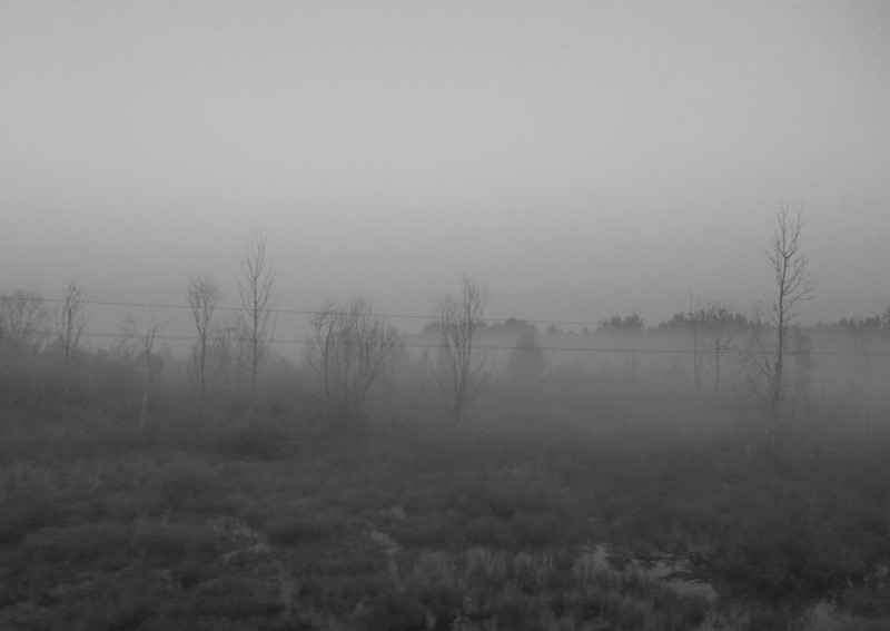 подорожное...