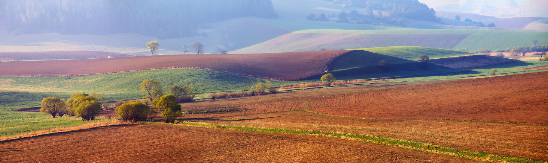 О словацкой "Моравии"