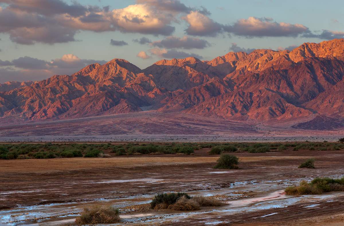 После дождя Негев. Израиль