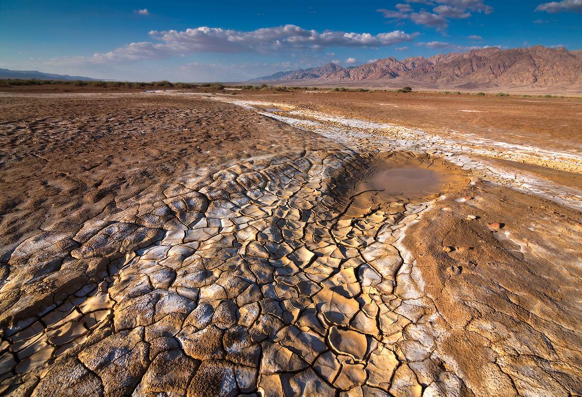 После дождя Негев. Израиль