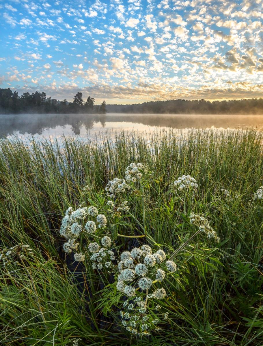 Соцветие облаков.
