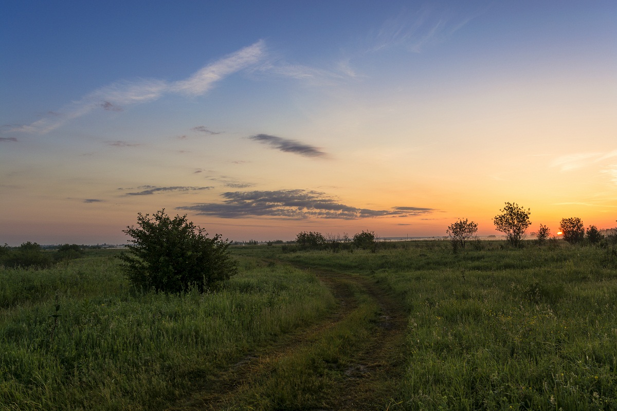 Утренними тропами.