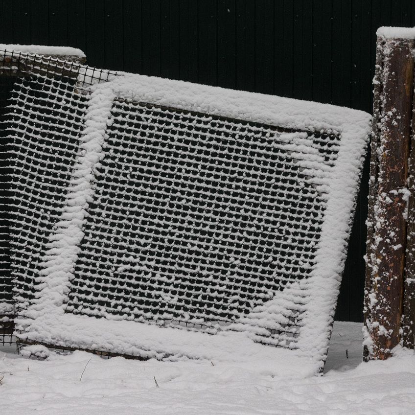 квадратнемалевича
