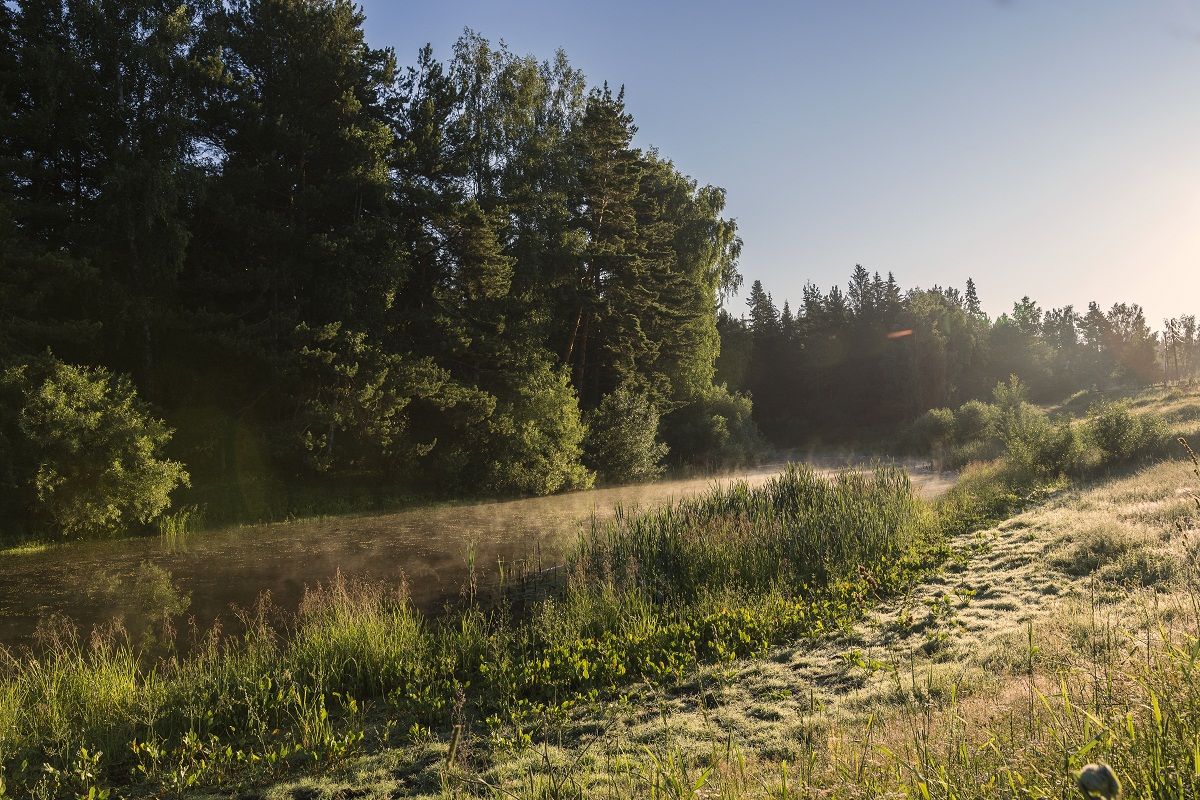 Утренний засвет.