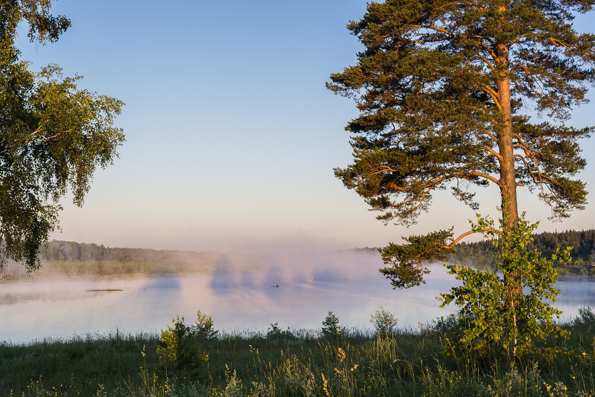 Высокие тени.