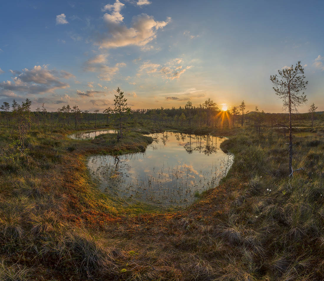 Озерцо на болоте.