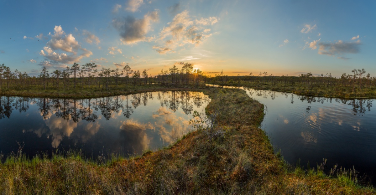 Путь, вдоль бездонных зеркал болота.