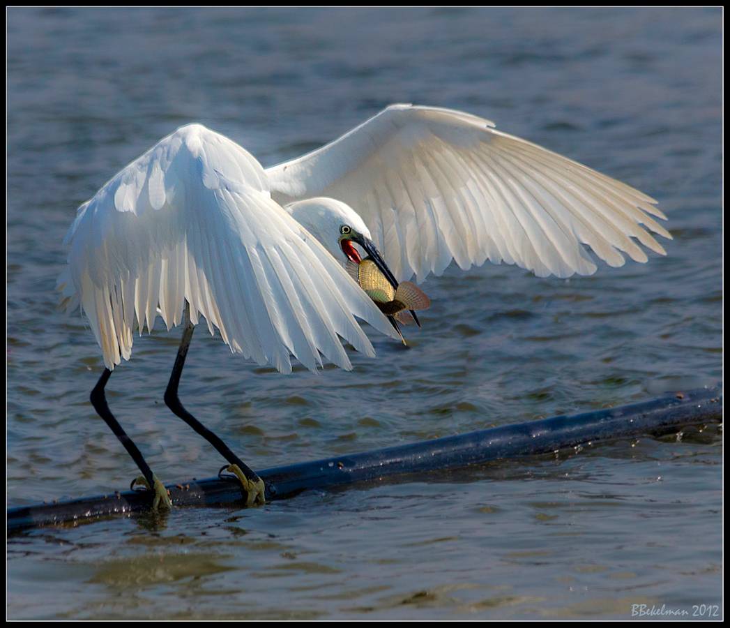 МОЁ,не отдам!!!