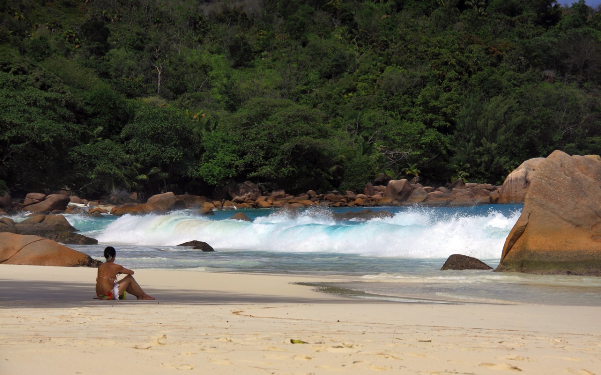 Мечтать не вредно