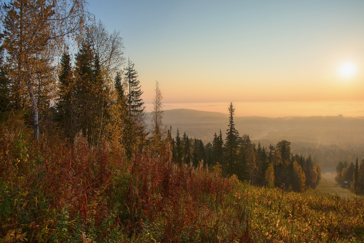 Туманная даль