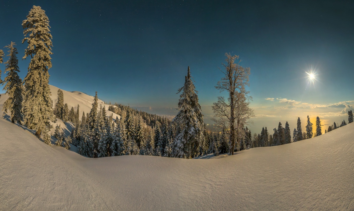 И тишина, и яркая луна.