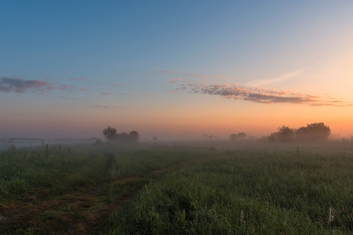 Когда все спят.