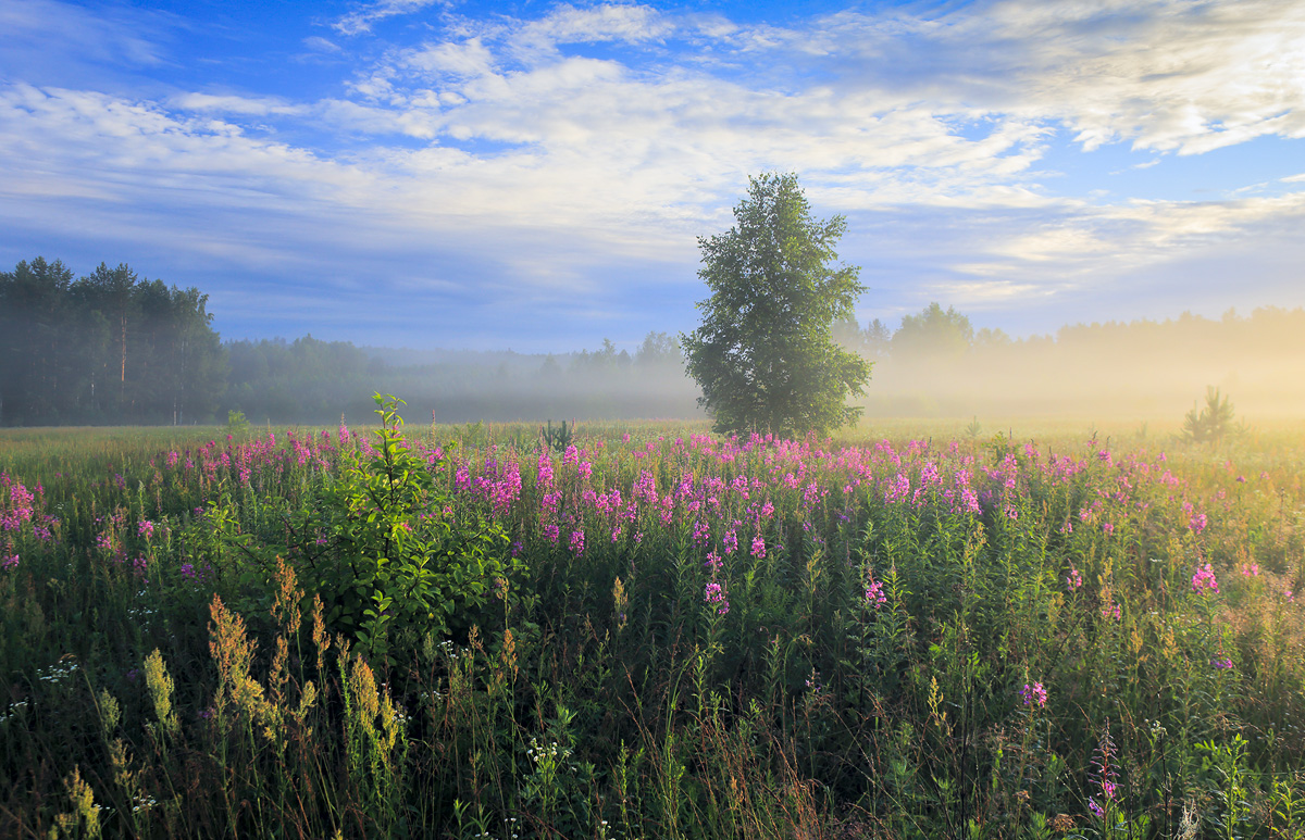 Ильское утро