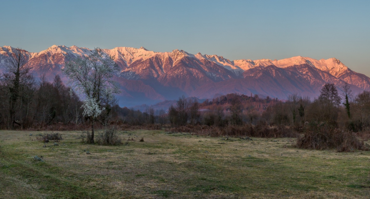 Ранняя весна.