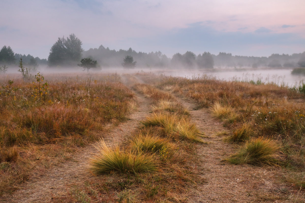 Утро на Щаре