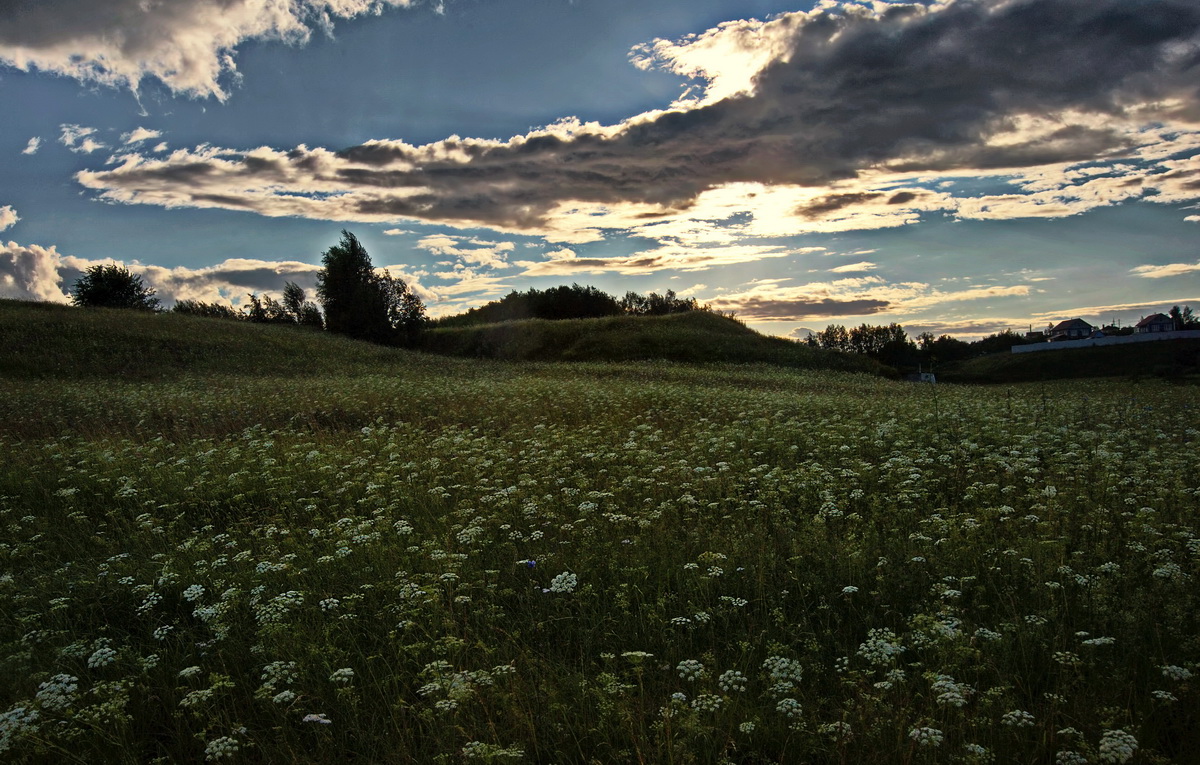 Вечерние травы