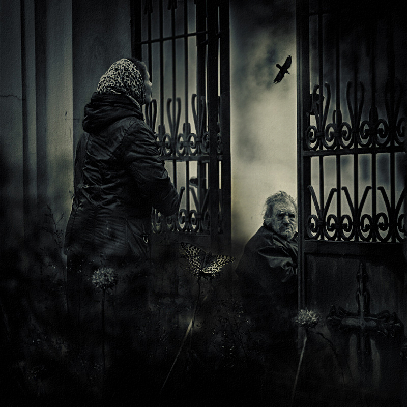 эффект бабочки