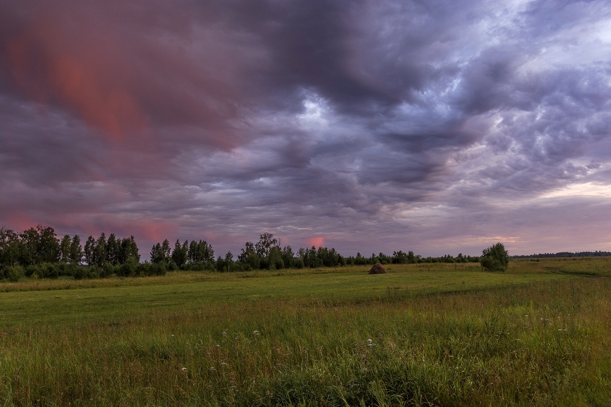 Вечернее представление.