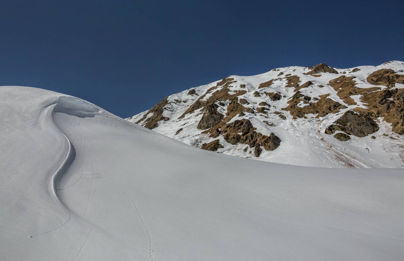 Снежная змейка.