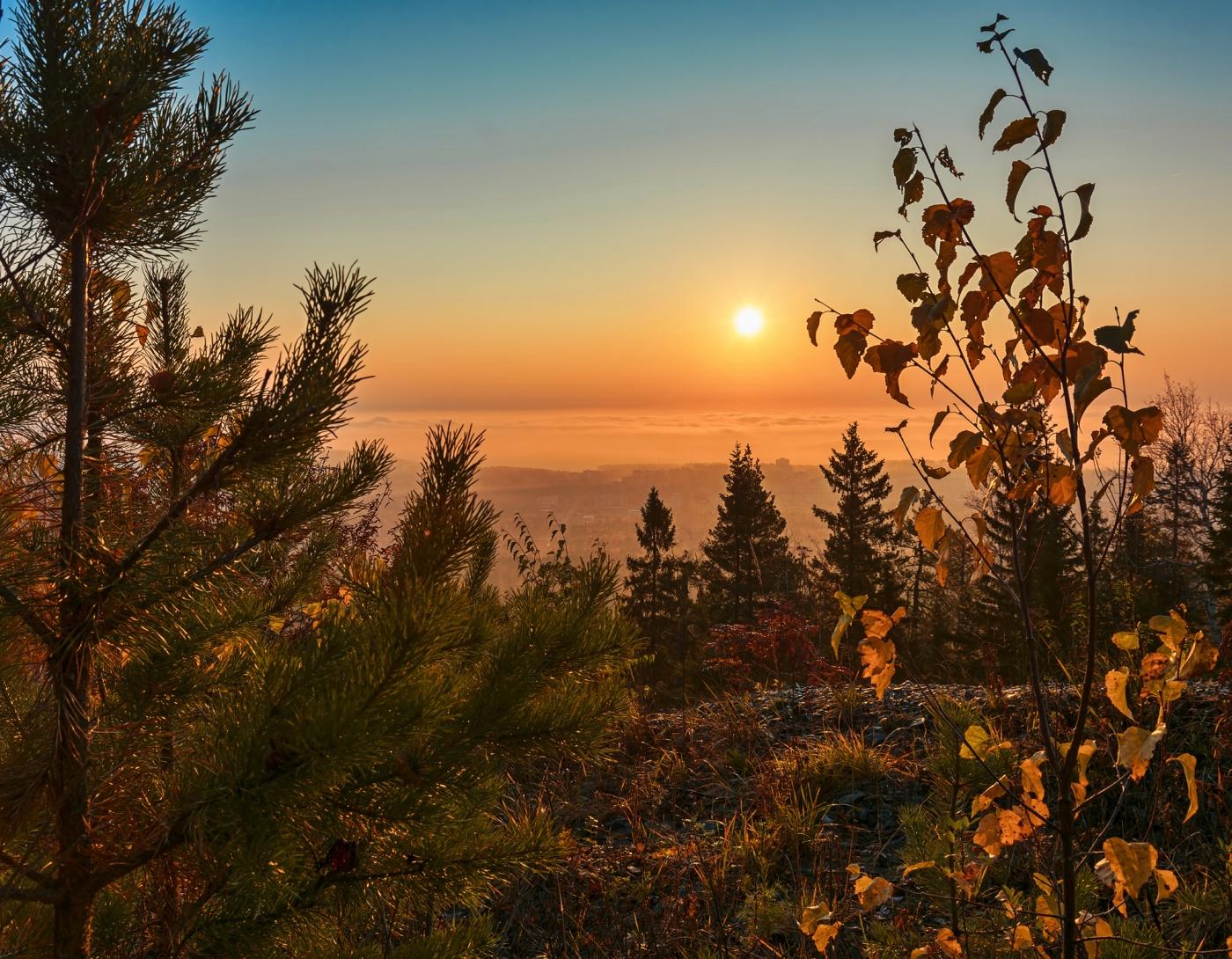 Рассветные краски