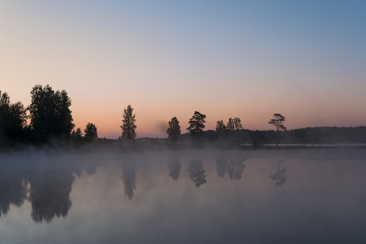 Холодное утро.