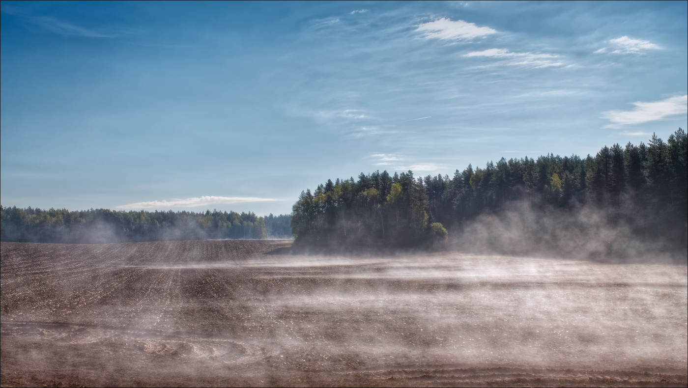 Про утро на поле