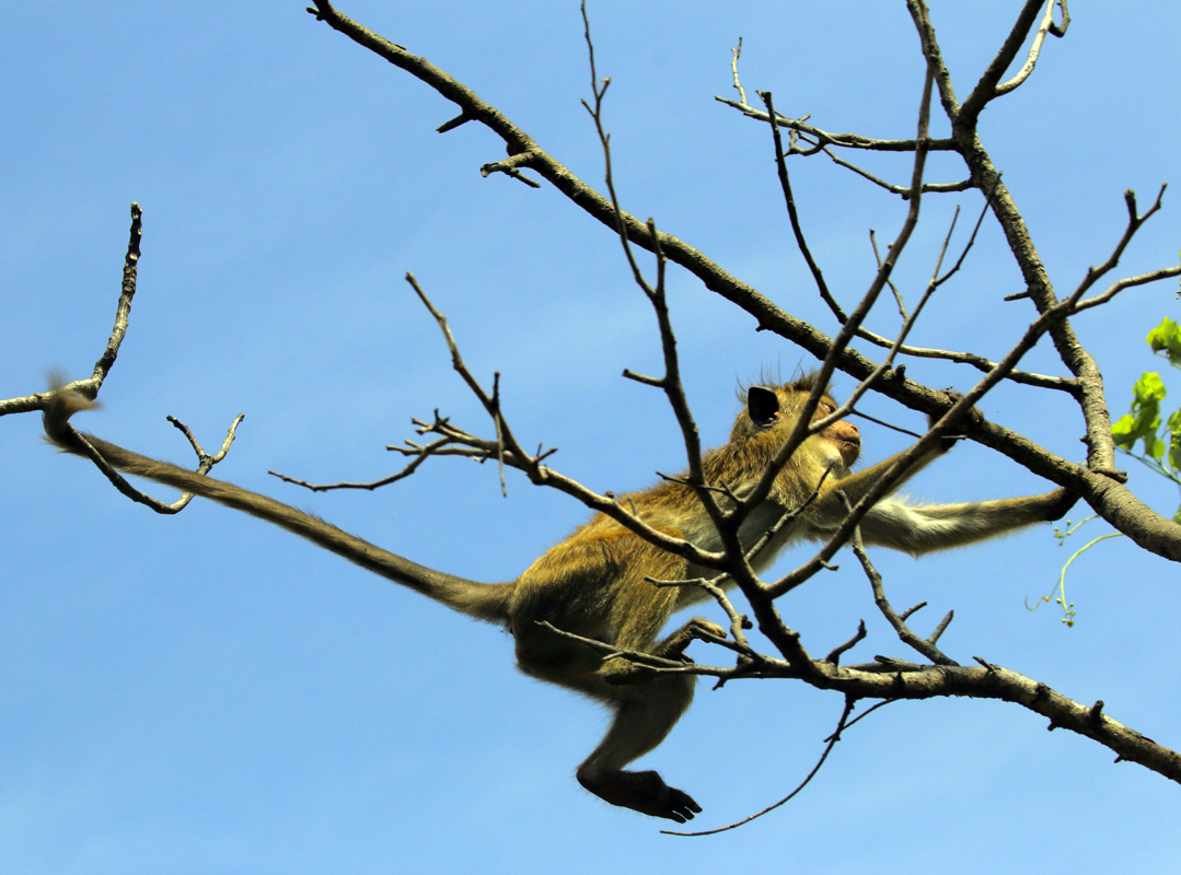 Есть контакт