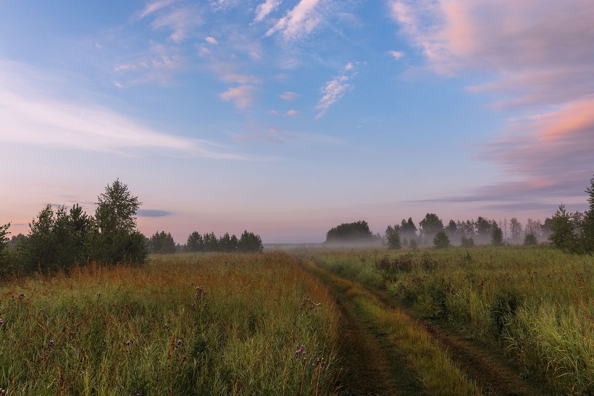 Сонное утро.