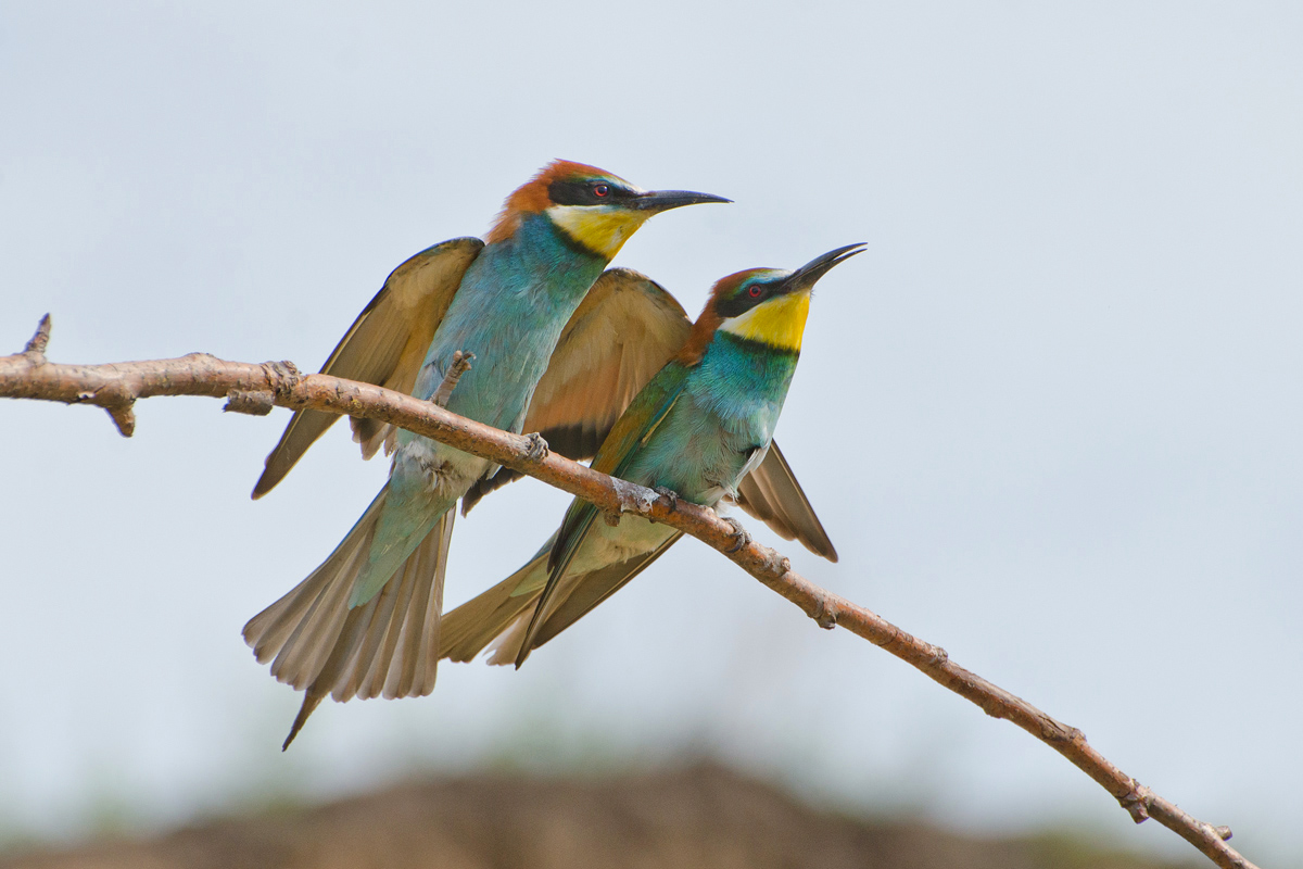 Есть у меня только ты