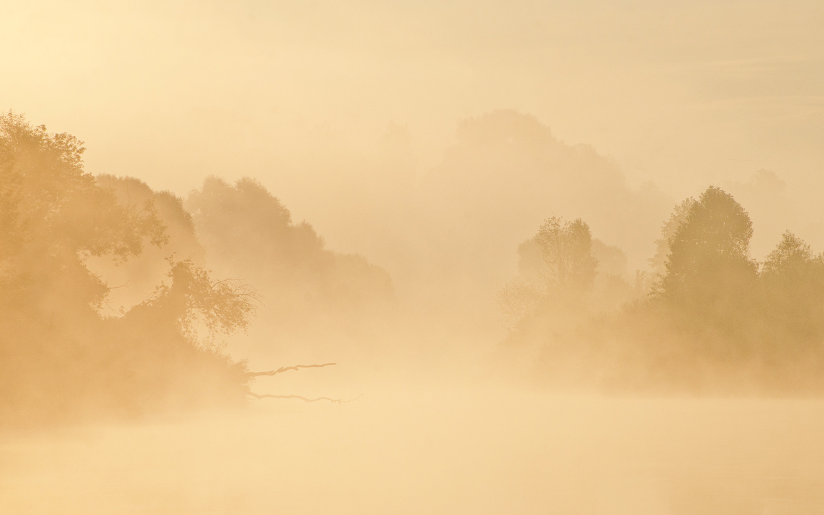 Сезон туманов