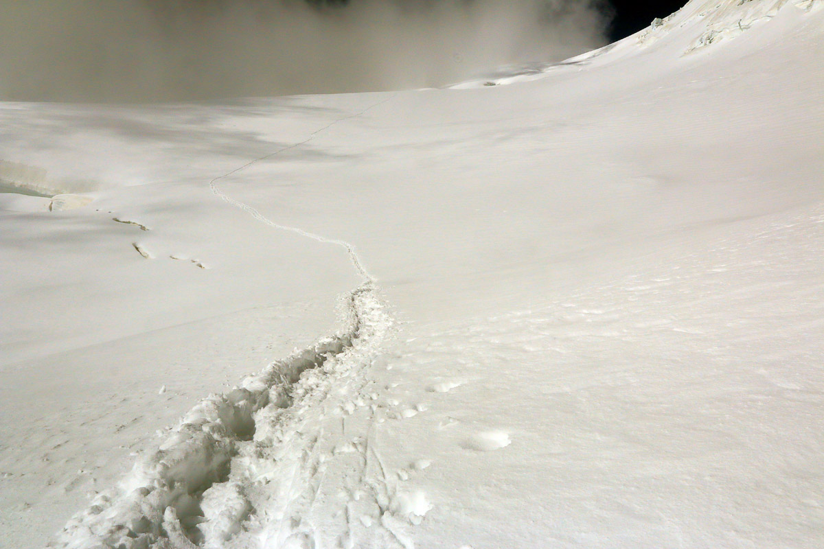 Три цвета: Белый