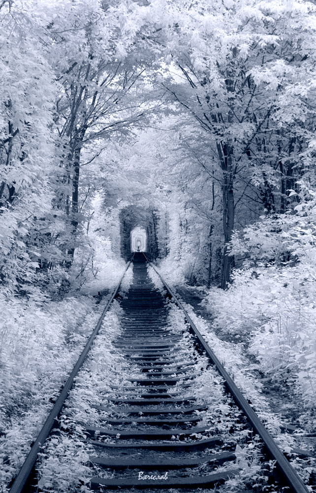 Три цвета: Белый