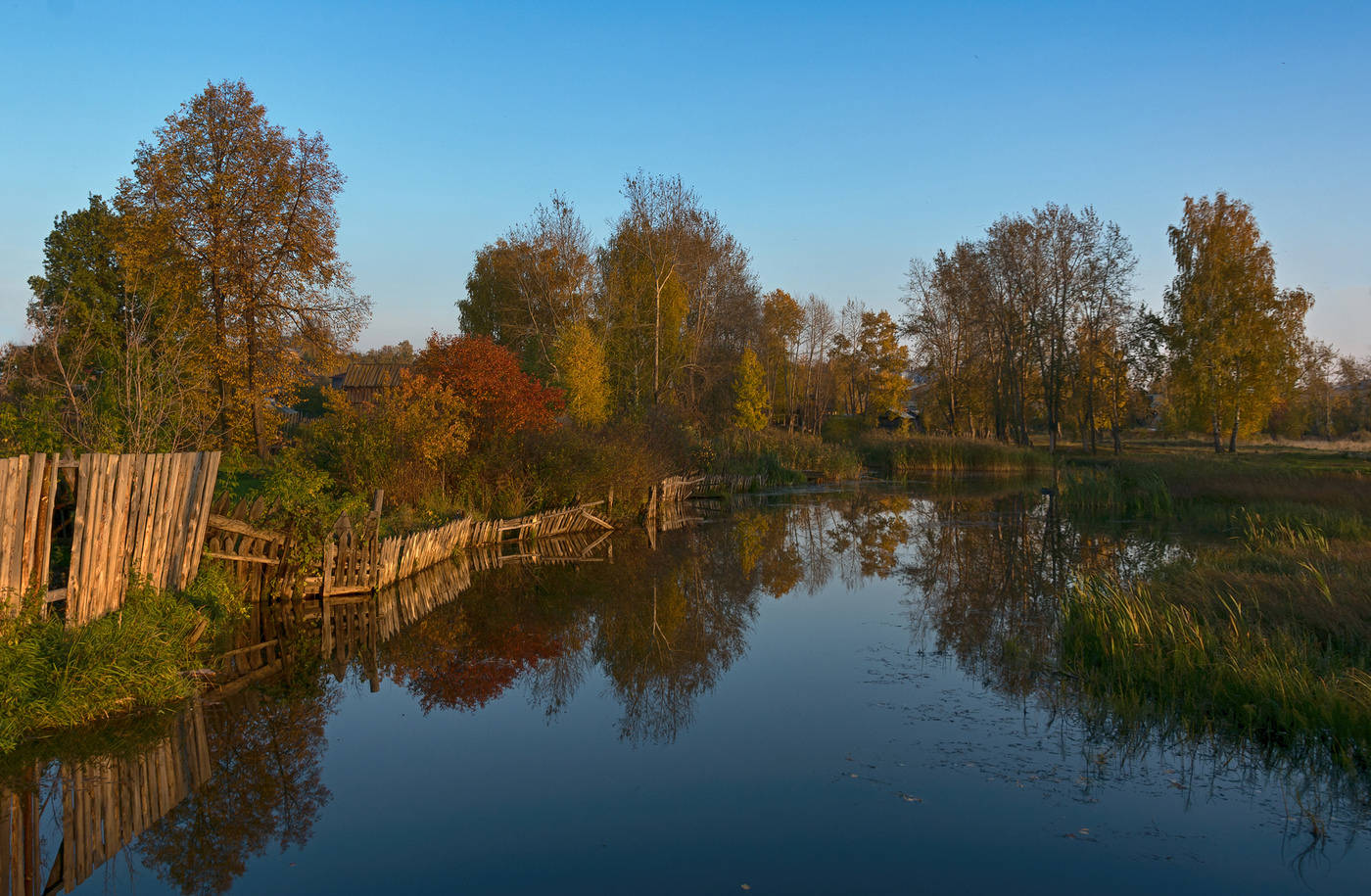 Осенняя палитра