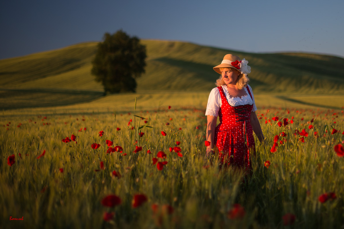 Три цвета: Красный