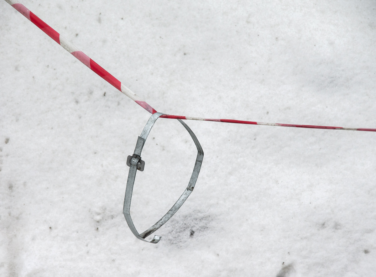 трицветакрасный