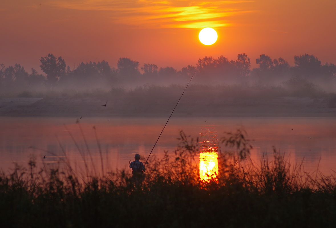 Три цвета: Красный