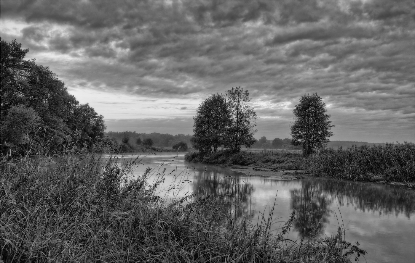 Утром на реке