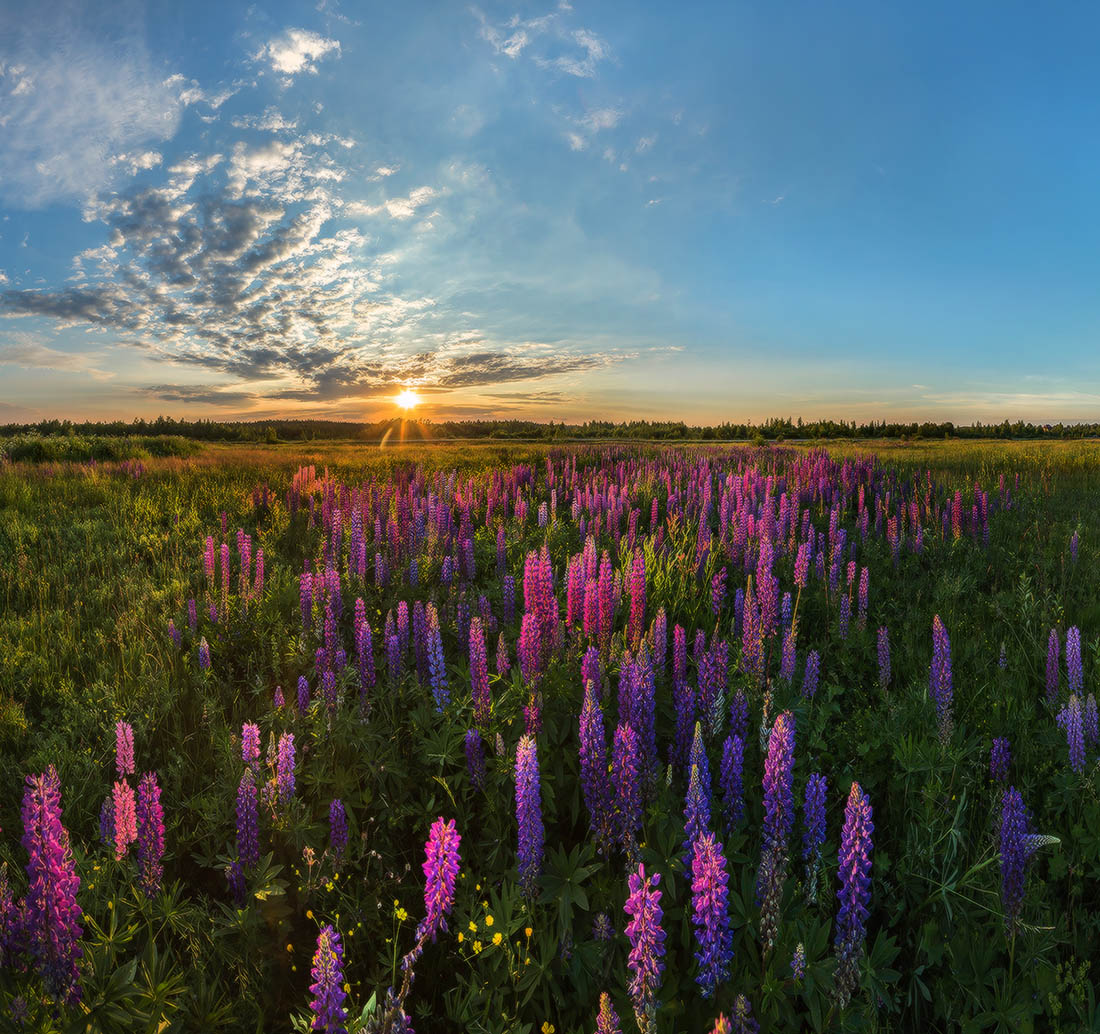 Северное лето!
