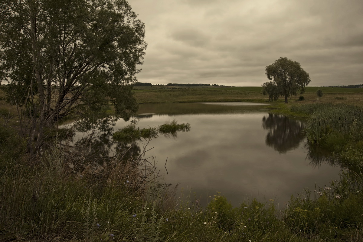 Пруд. Шоршелы.