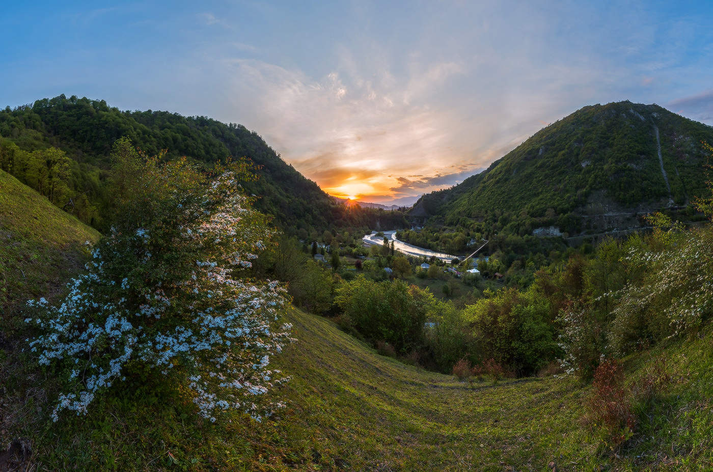 Цветущий боярышник.