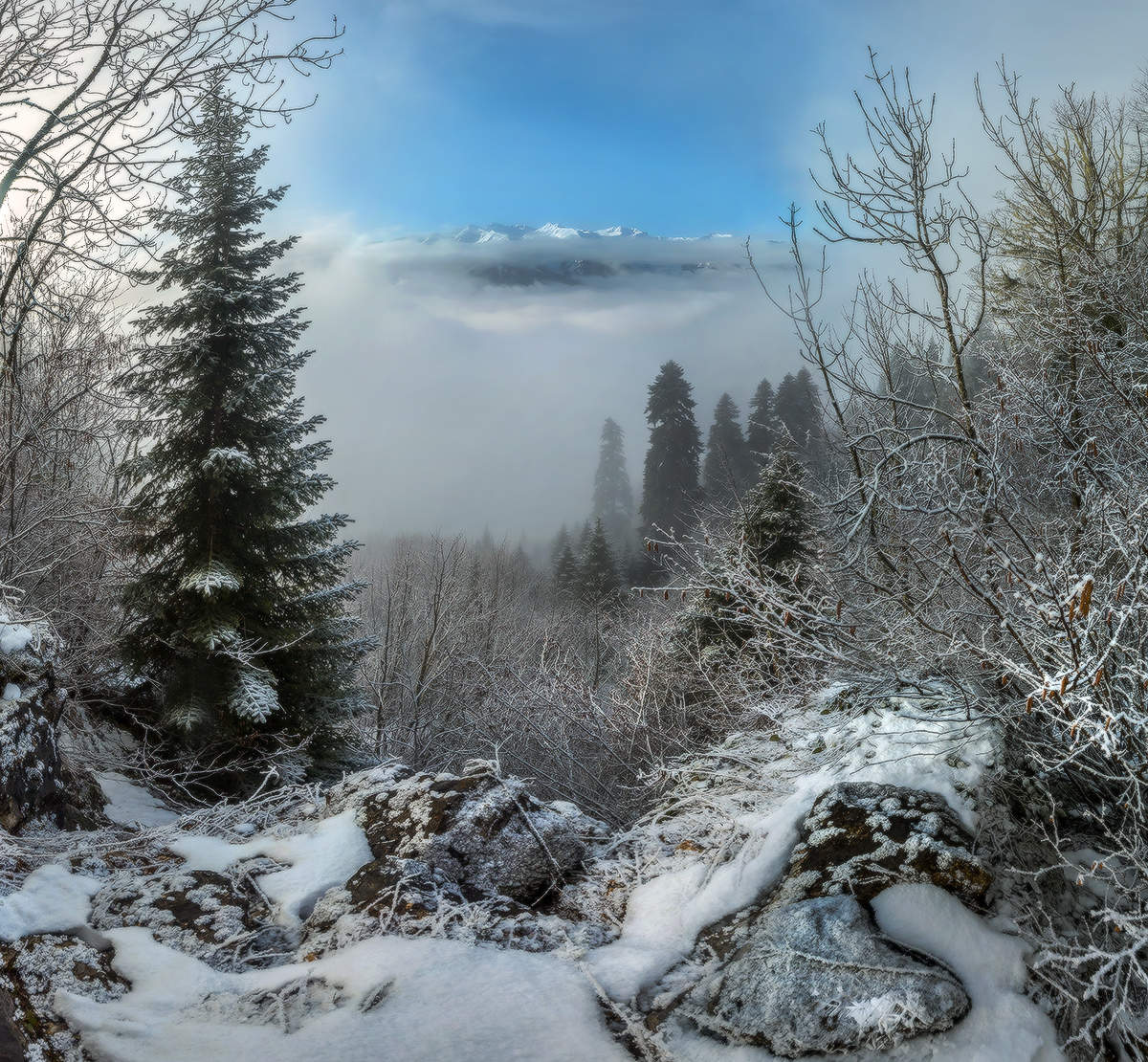 Дневной туман в горах.