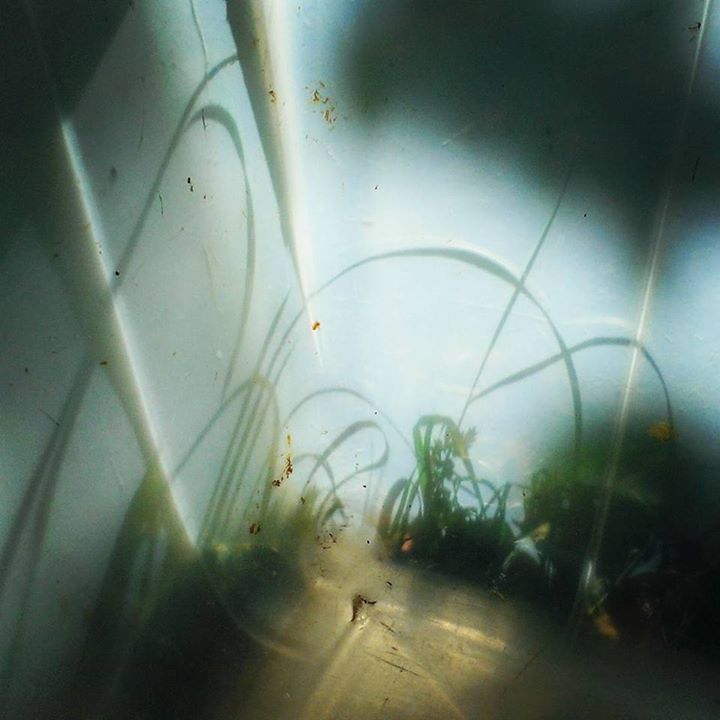 Инстаграмка