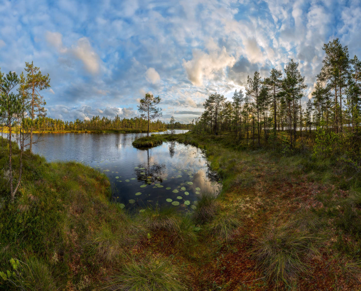 Обрамление маленькой бухты.
