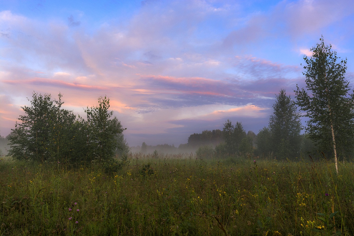 Сплетения цвета.